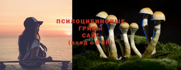 дживик Белоозёрский