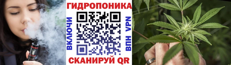 мега вход  Окуловка  Шишки марихуана White Widow  даркнет сайт 